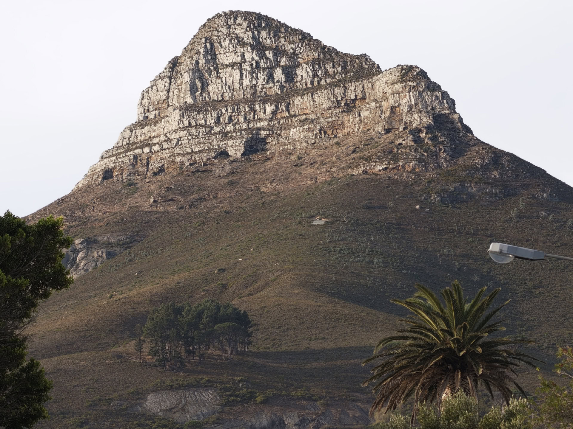 vivo X300 Ultra camps bay road 200MP scaled crop