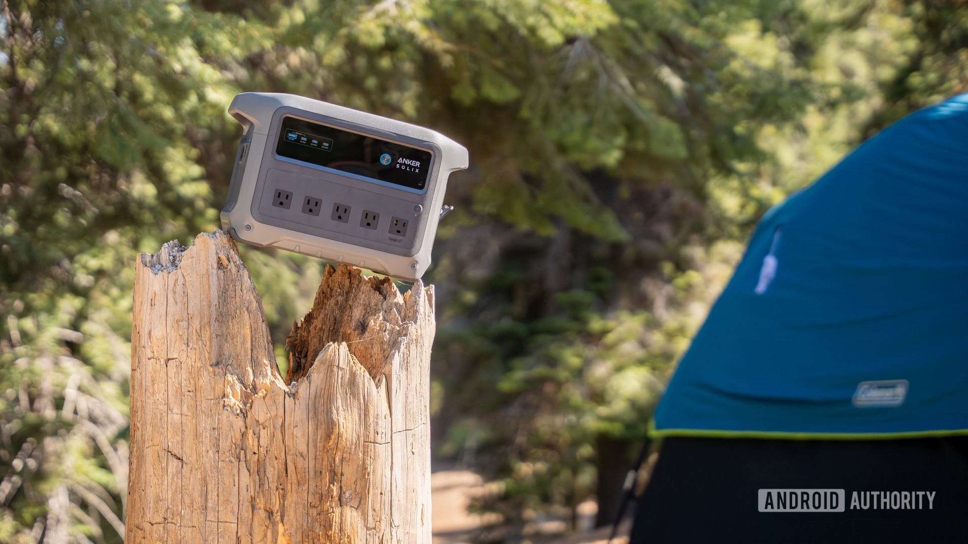 Anker SOLIX C1000 Gen 2 in tree stump 1