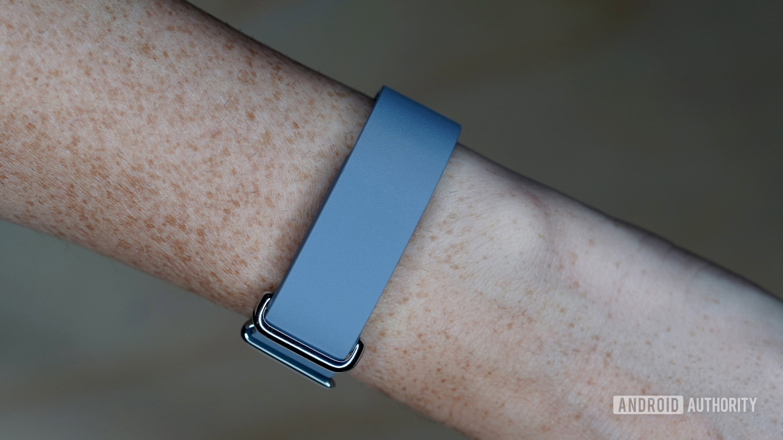 The Fitbit Air's most fashion-foward band is the Elevated Modern style.