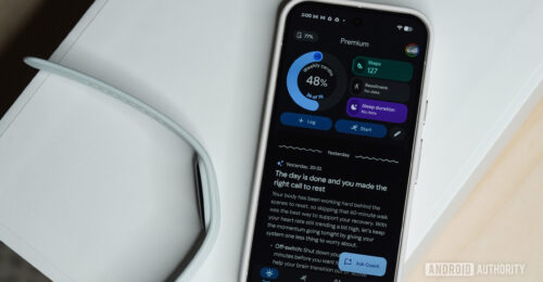 Google Fitbit Air Deliveries Encounter Android App Update Delay