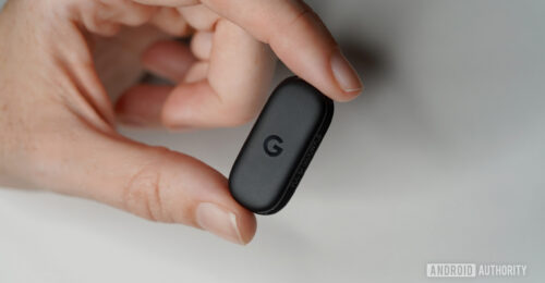 Forget screenless: Fitbit Air users have started going bandless