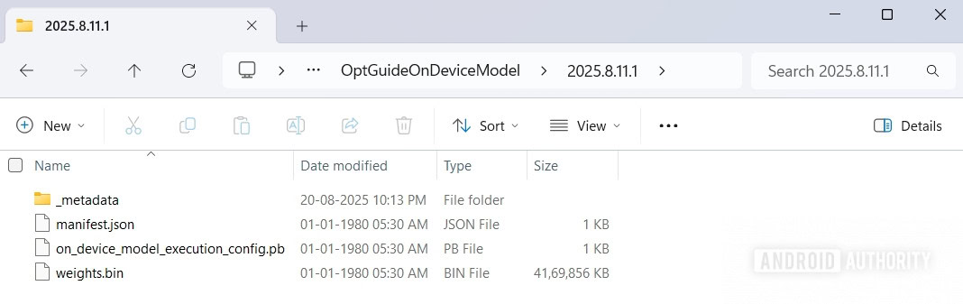 Google Chrome's weights bin file for Gemini Nano on device AI model