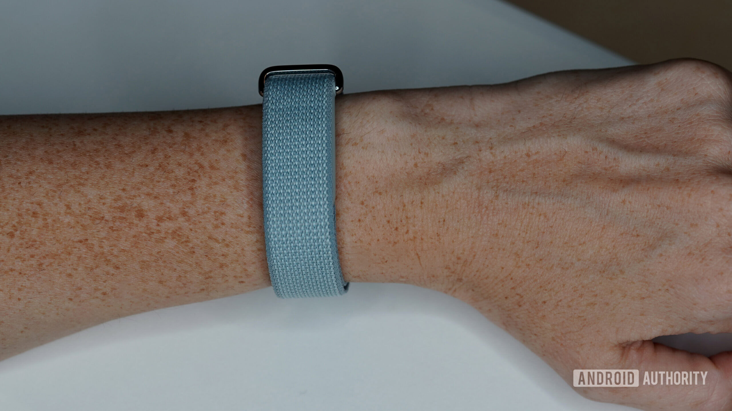 The Fitbit Air's performance loop is exceptionally comfortable.
