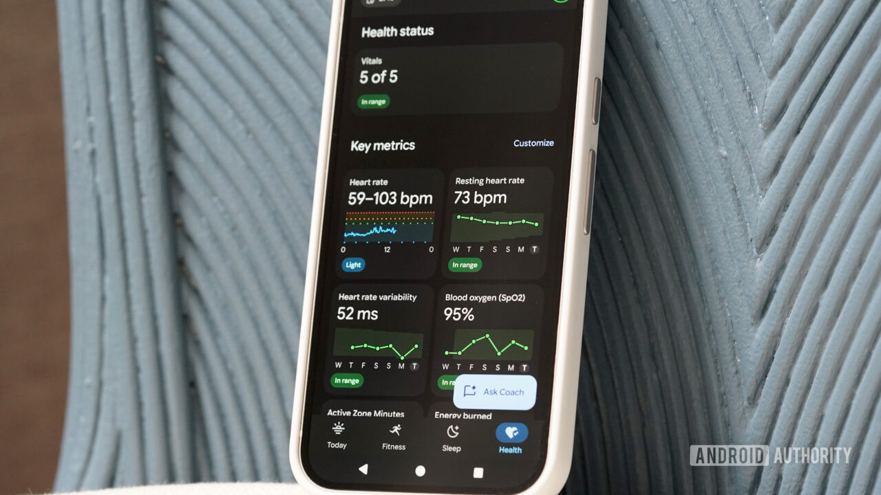 Google Fitbit Air review: A strong case for minimalism and ditching ...