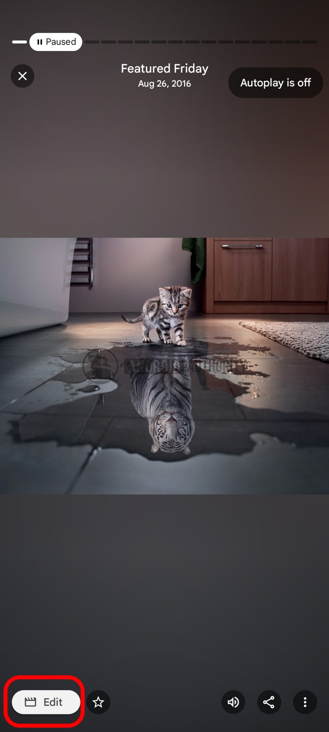 Google Photos Memories Edit watermarked