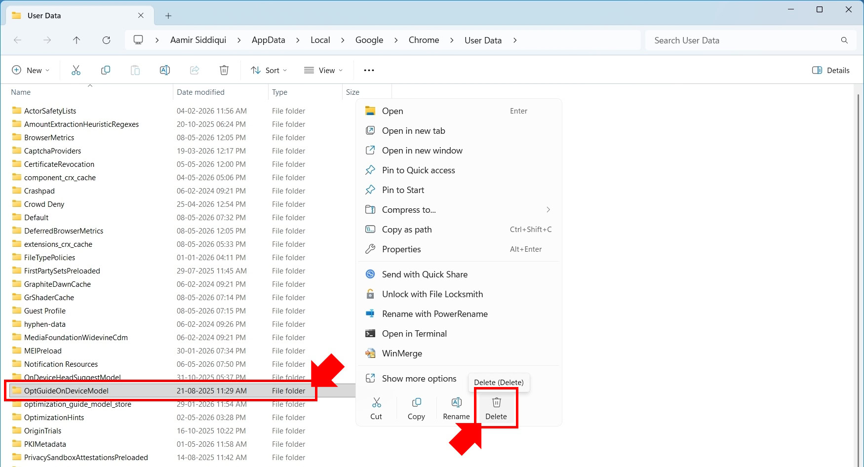 How to Disable Chrome's AI Model Delete Folder on Windows (2)