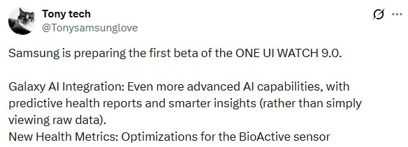 One UI 9 Watch beta rumor