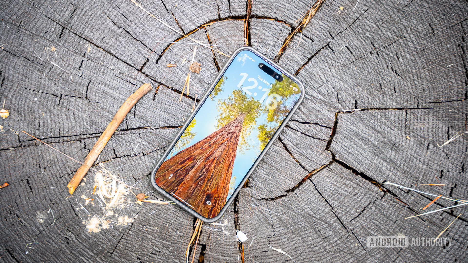 Wallpaper Wednesday May 6, 2026 featured image