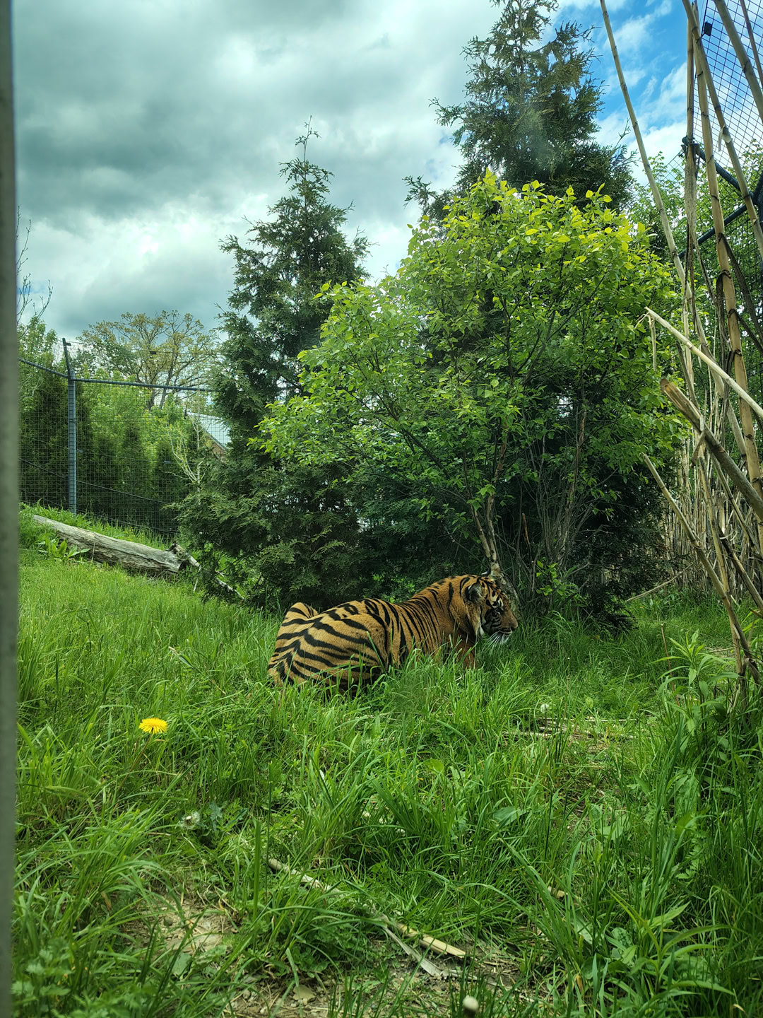 motorola moto g stylus 2026 primary camera sample 13