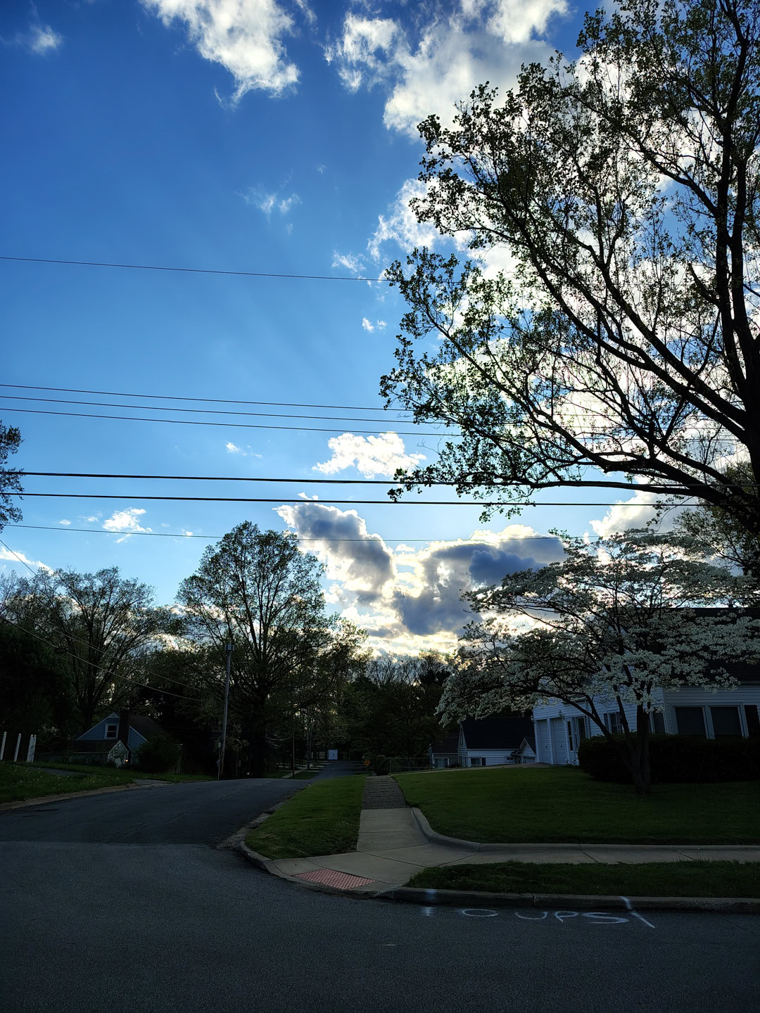 motorola moto g stylus 2026 primary camera sample 5