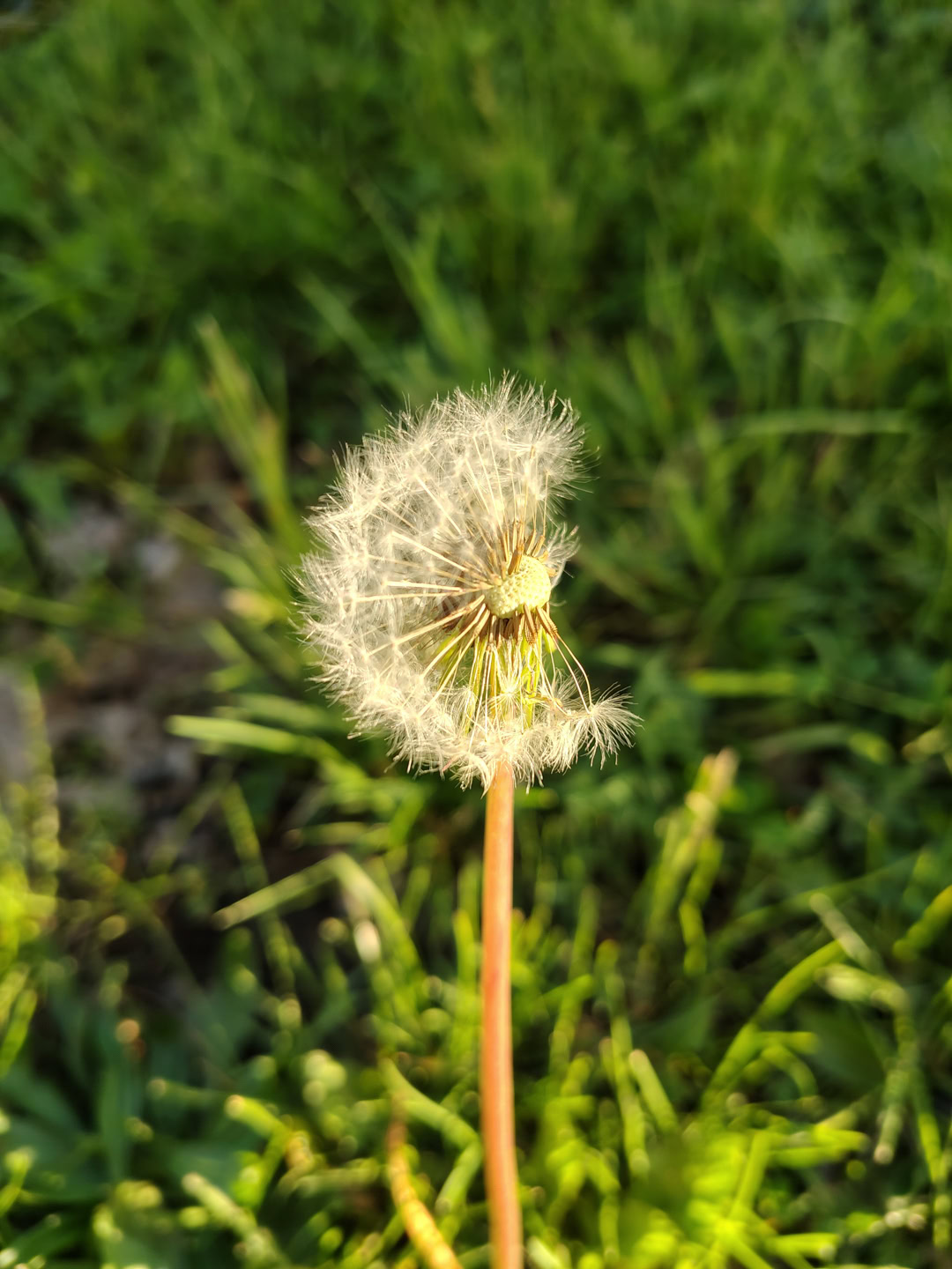 motorola moto g stylus 2026 primary camera sample 6