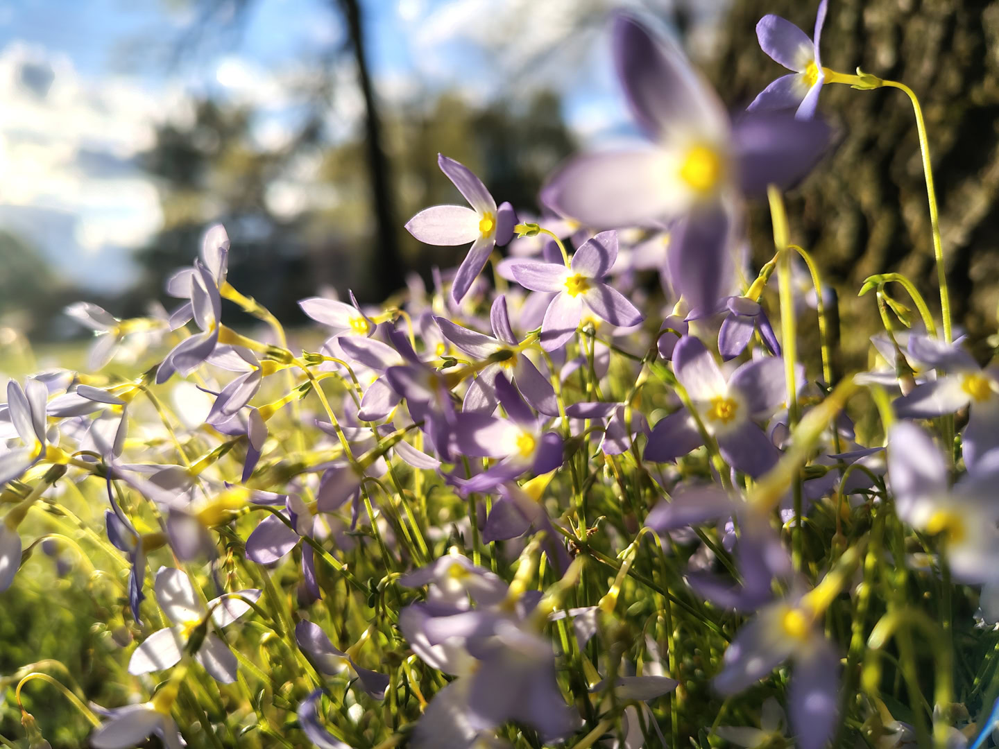 motorola moto g stylus 2026 primary camera sample 7