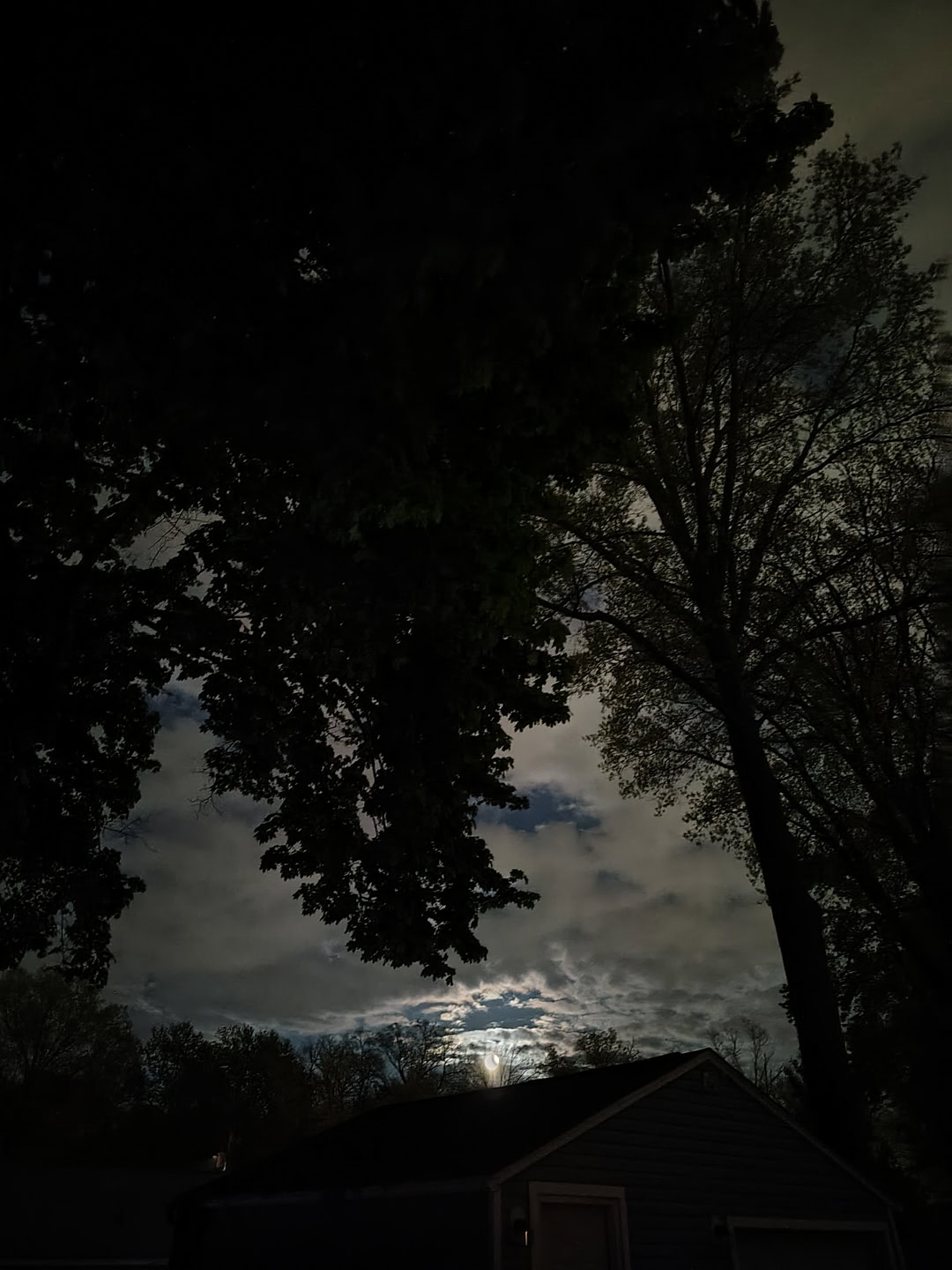 motorola moto g stylus 2026 primary camera sample 8