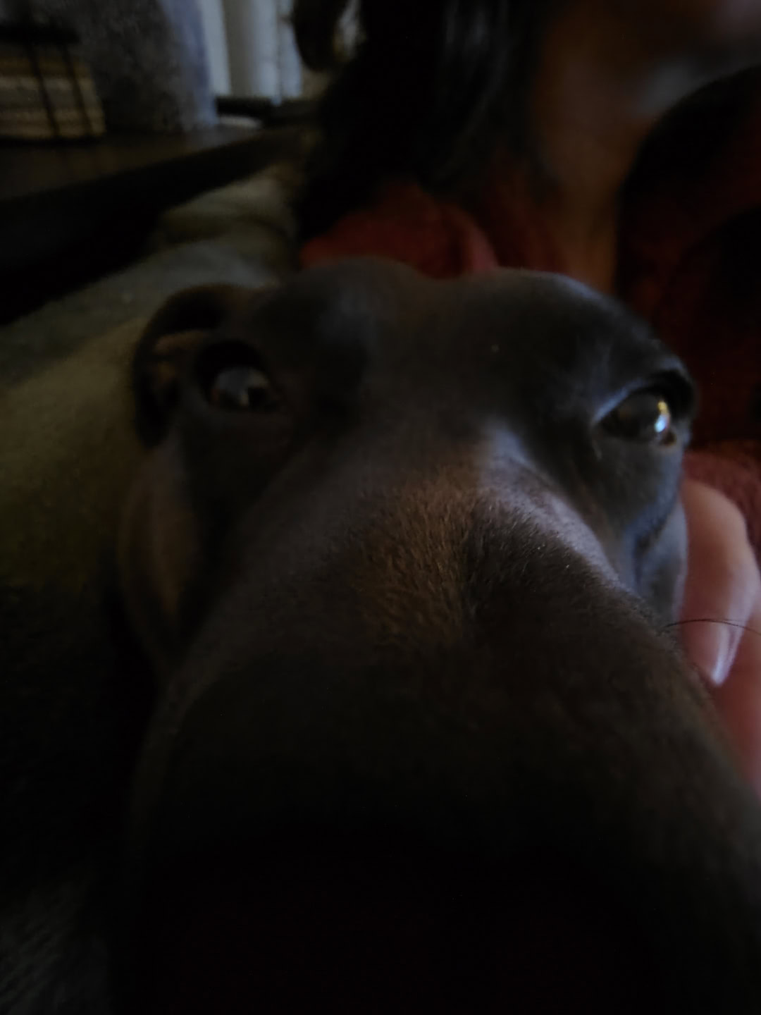 motorola moto g stylus 2026 wide camera sample 8