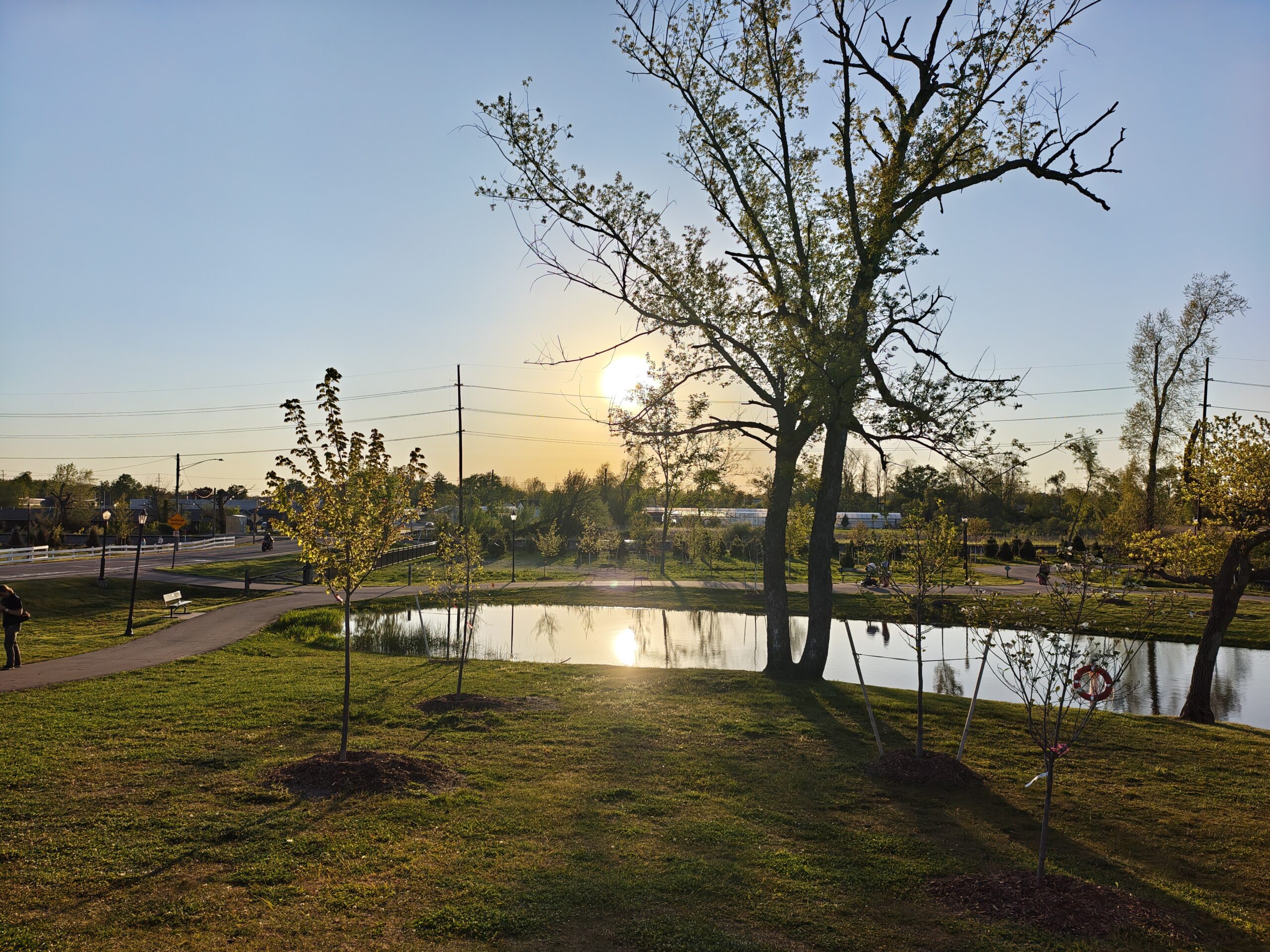 A photo of a nature trail at sunset, taken with the Motorola Razr Fold.