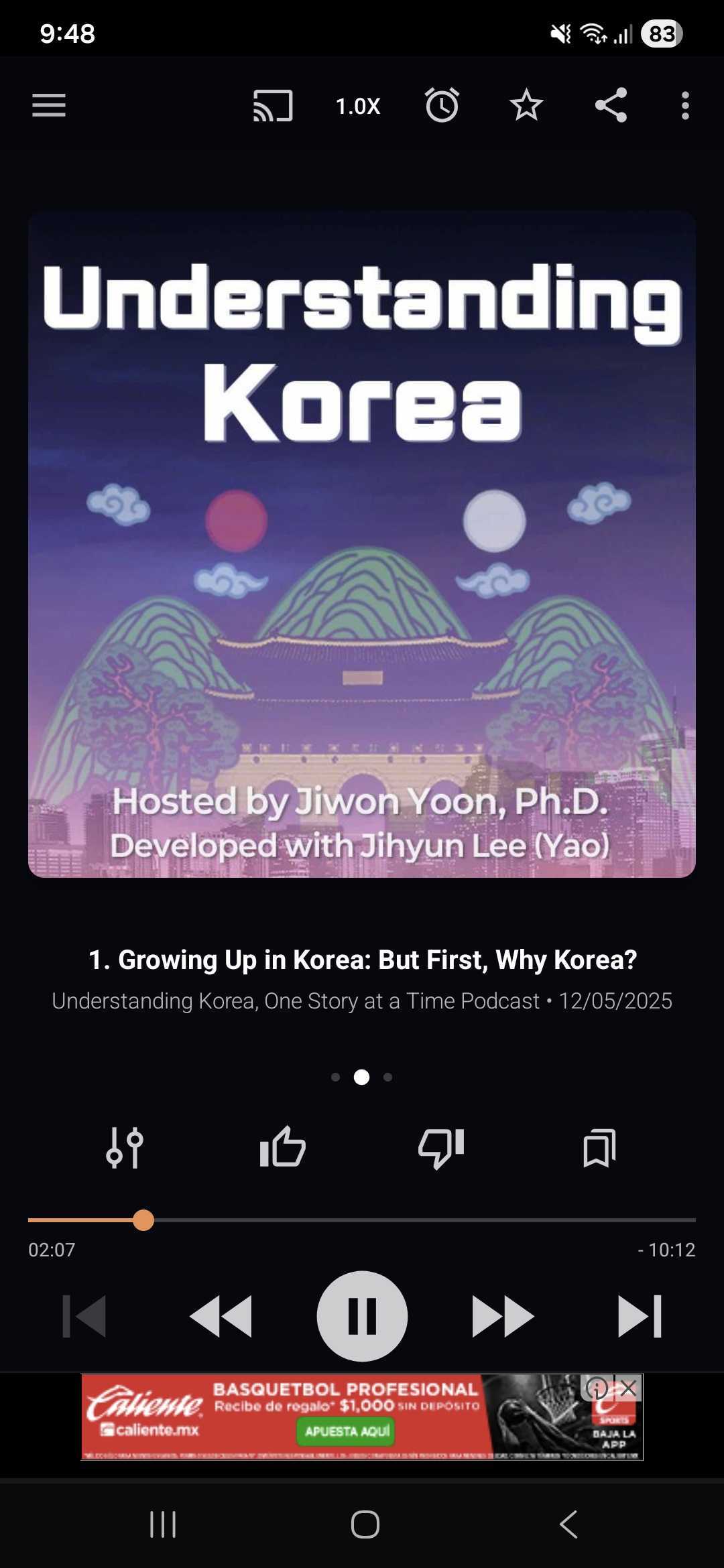 Screenshot of the Understanding Korean podcast made with NotebookLM.