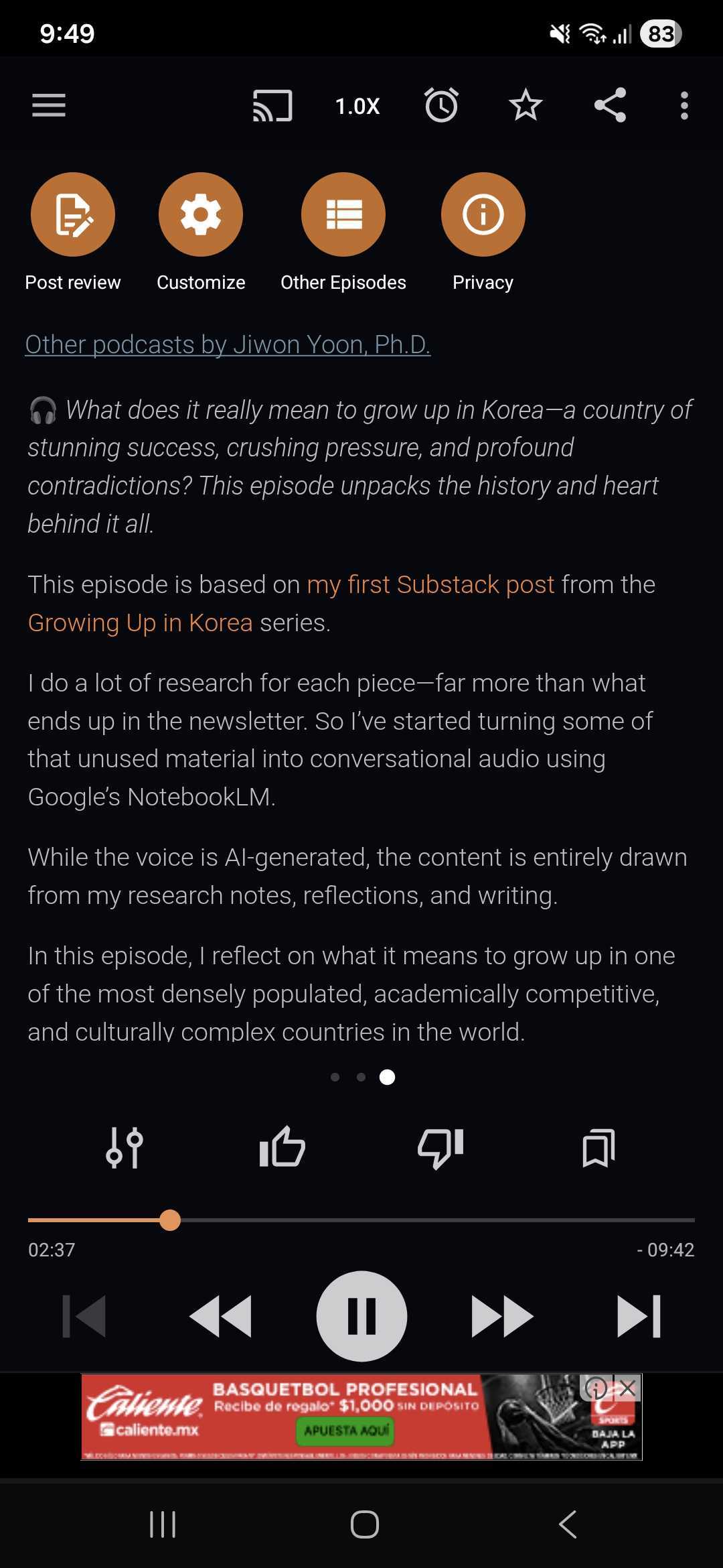Screenshot of the Understanding Korean podcast made with NotebookLM.