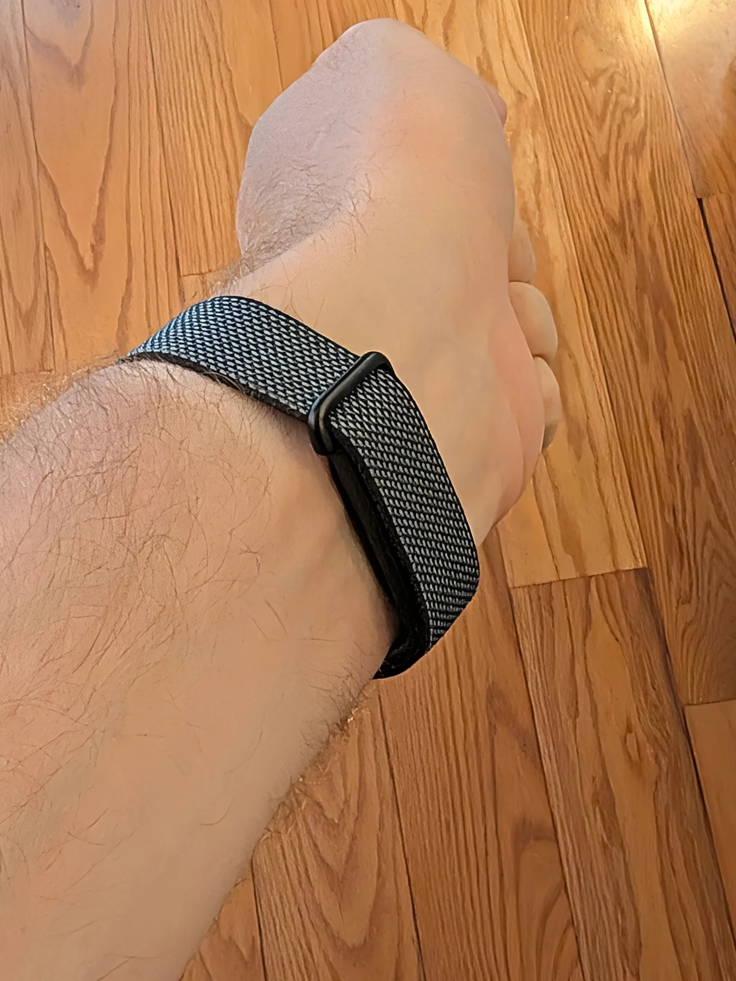 Fitbit Air with watch