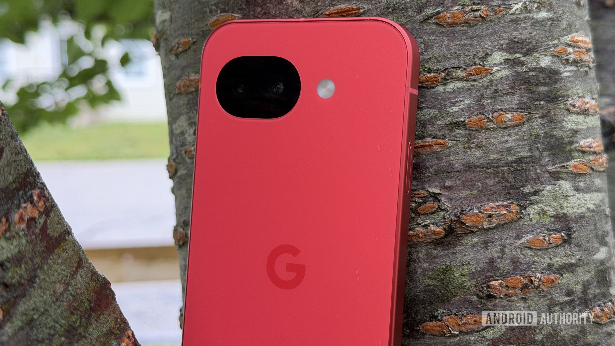 Google Pixel 10a Berry against tree Google Pixel 10a Berry against tree