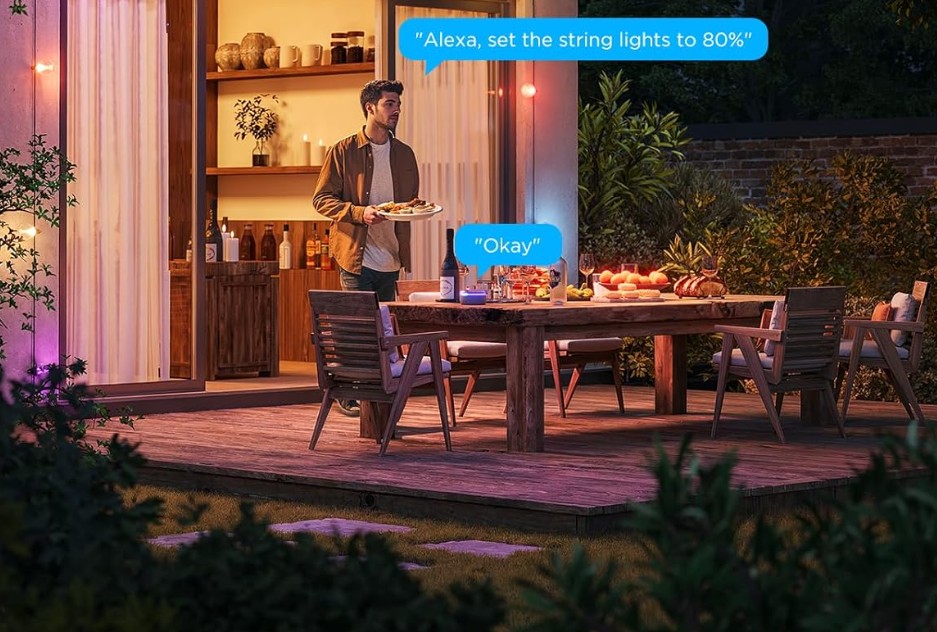 Govee outdoor lights Govee outdoor lights