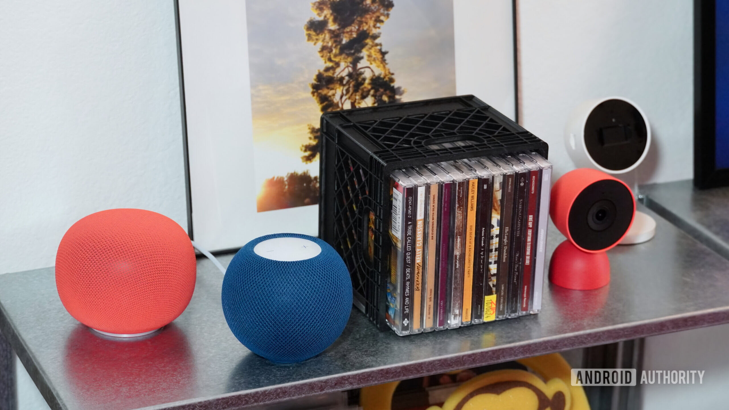 The Home Speaker, the HomePod Mini, the Nest Cam Indoor and a HomeKit Secure Video camera.