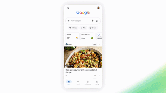 Search Creator Profiles