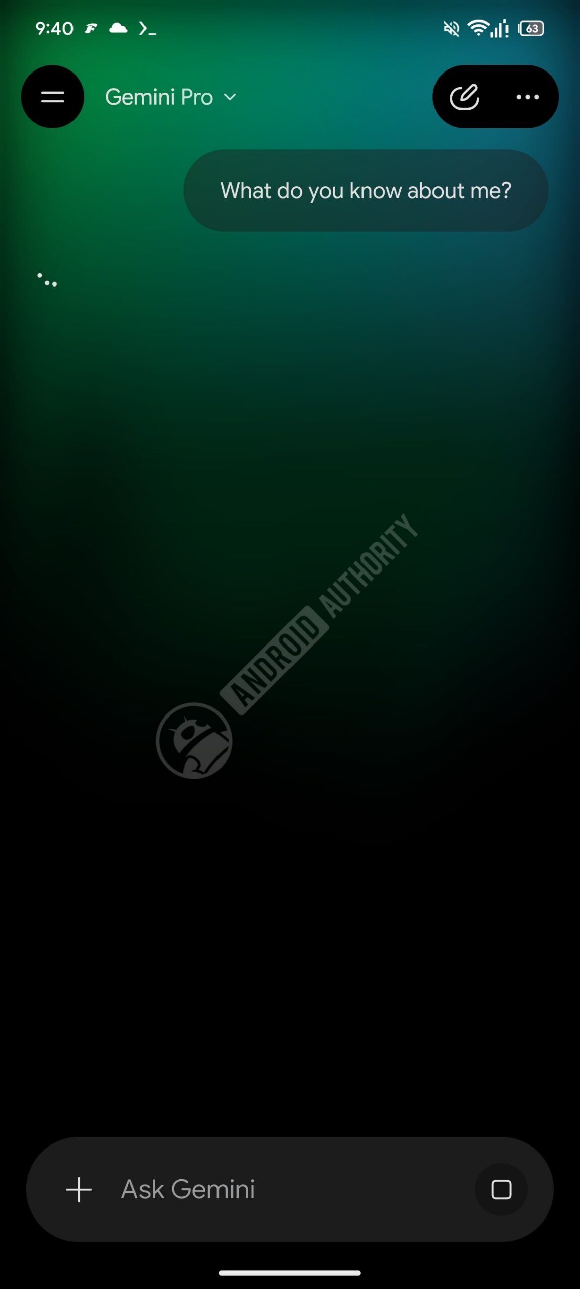 gemini personal snapshot 2 watermarked