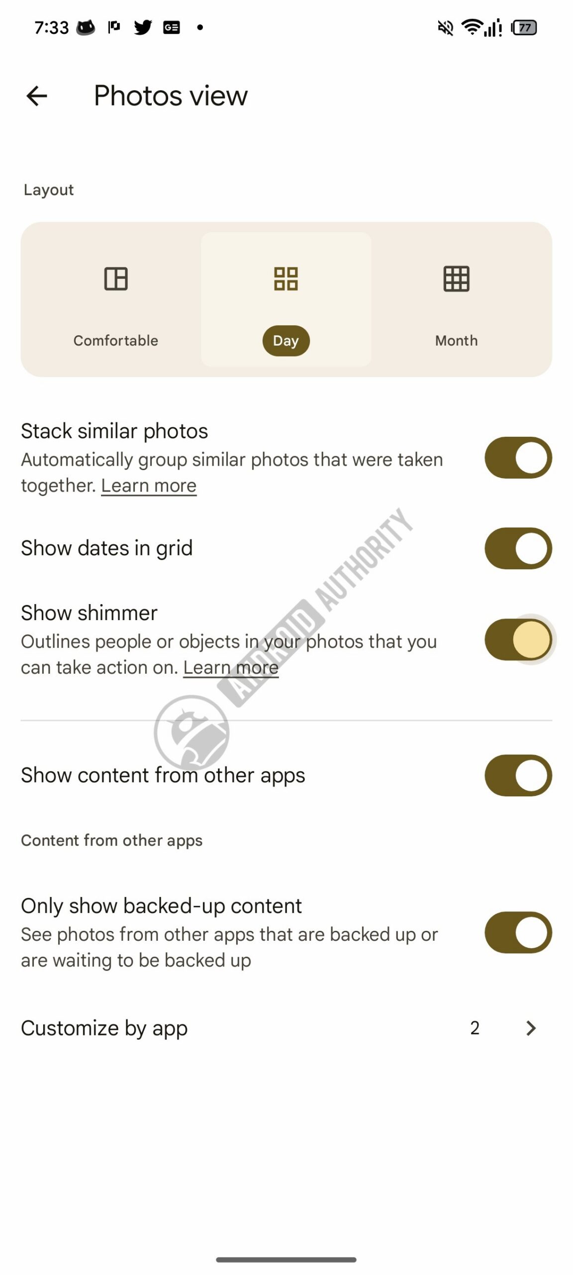 Google Photos brightness option with watermark.