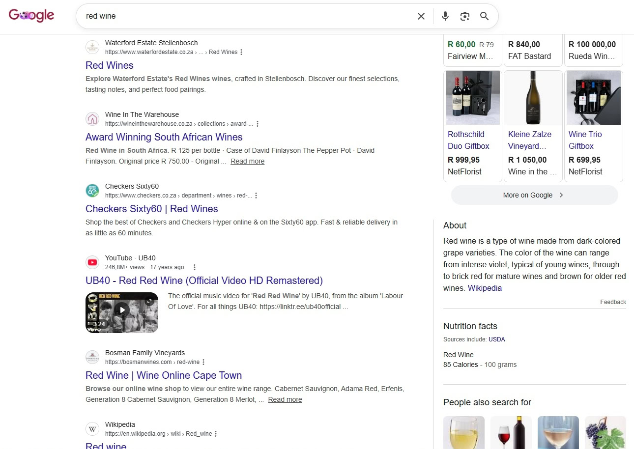 google web search screenshot 2