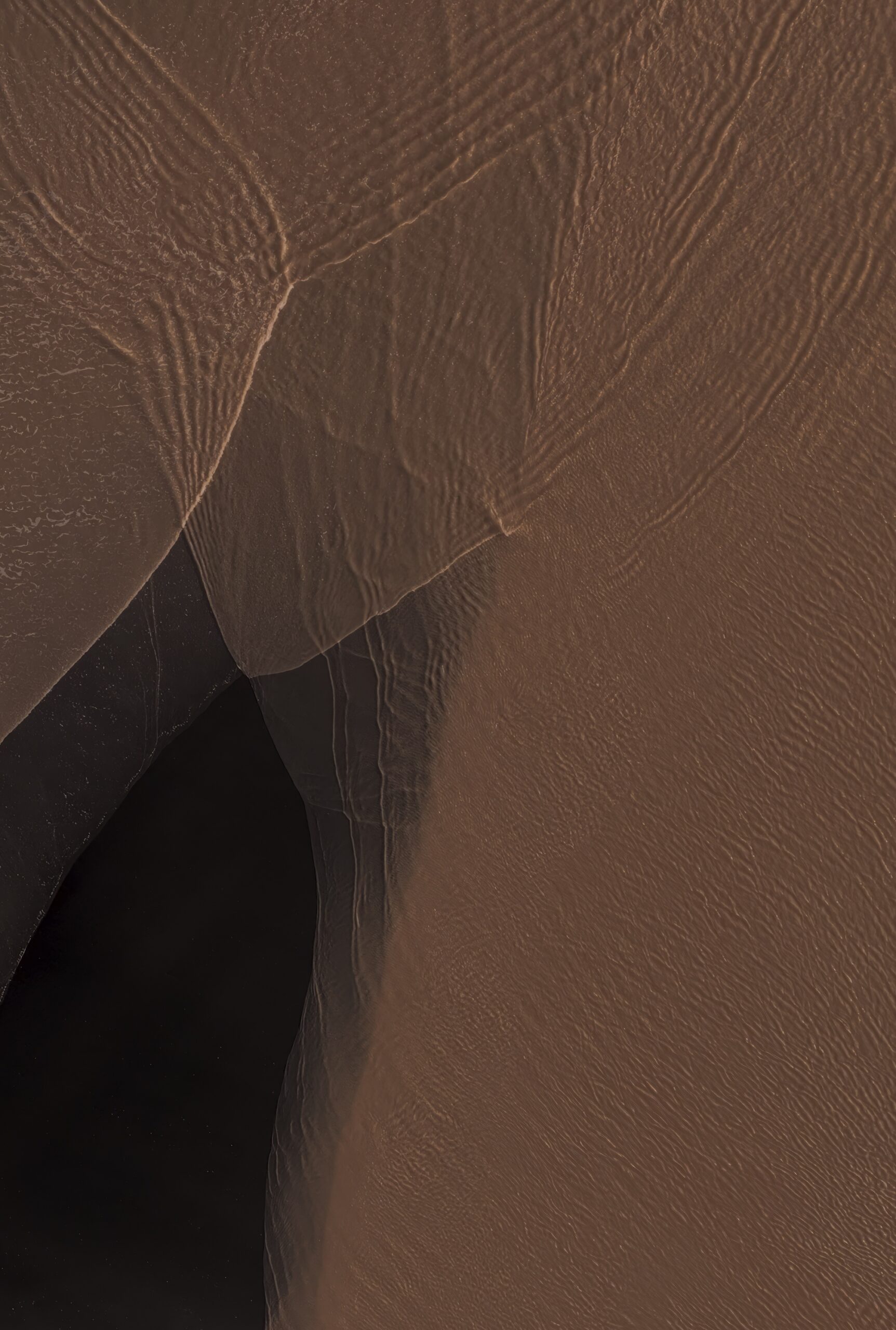 pixel 11 pro xl wallpaper beige