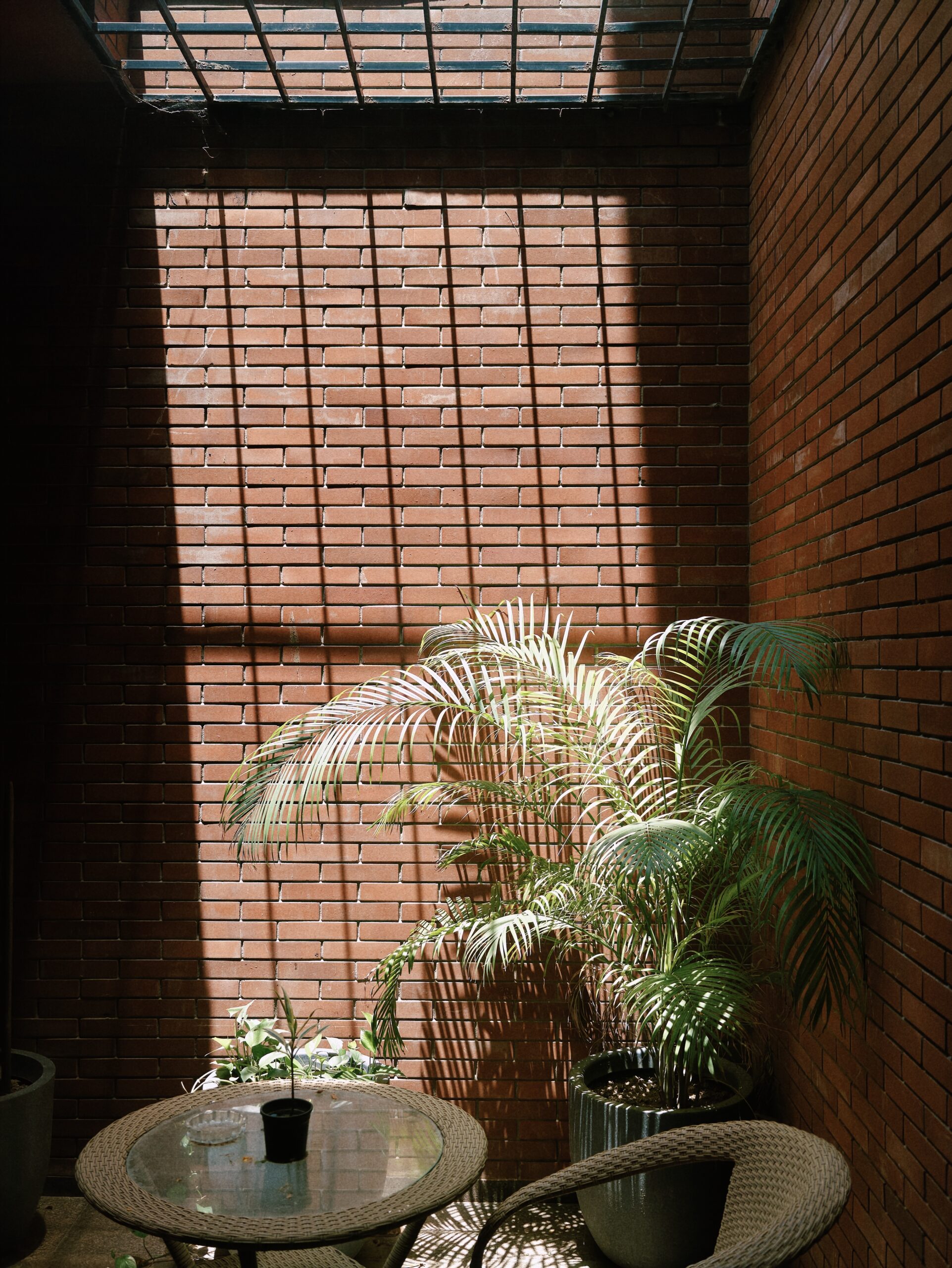 An image of a plant and table shot at 35mm