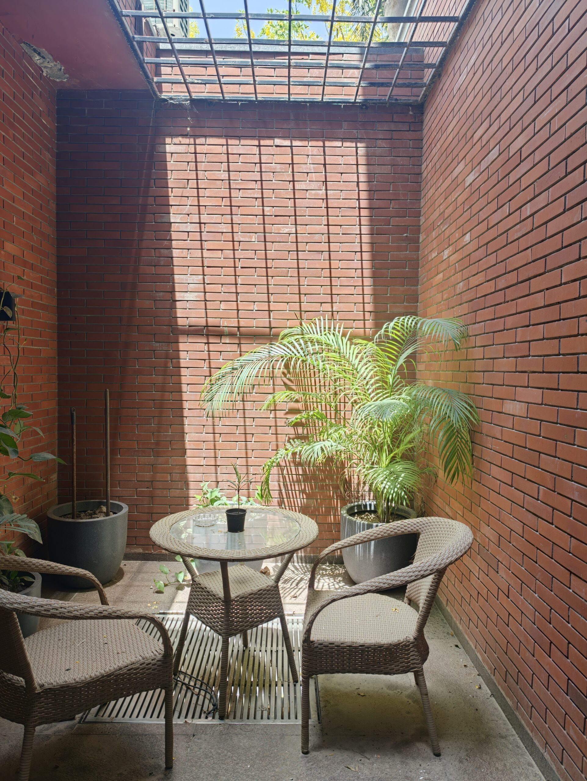 An image of a plant and table shot at 23mm
