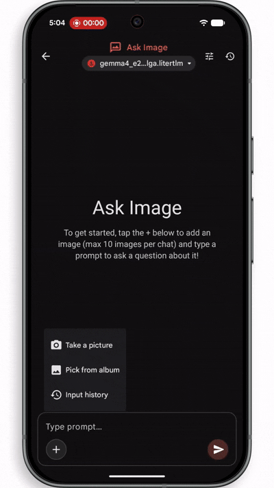 Google Gemma 4 Ask Image demo Google Gemma 4 Ask Image demo