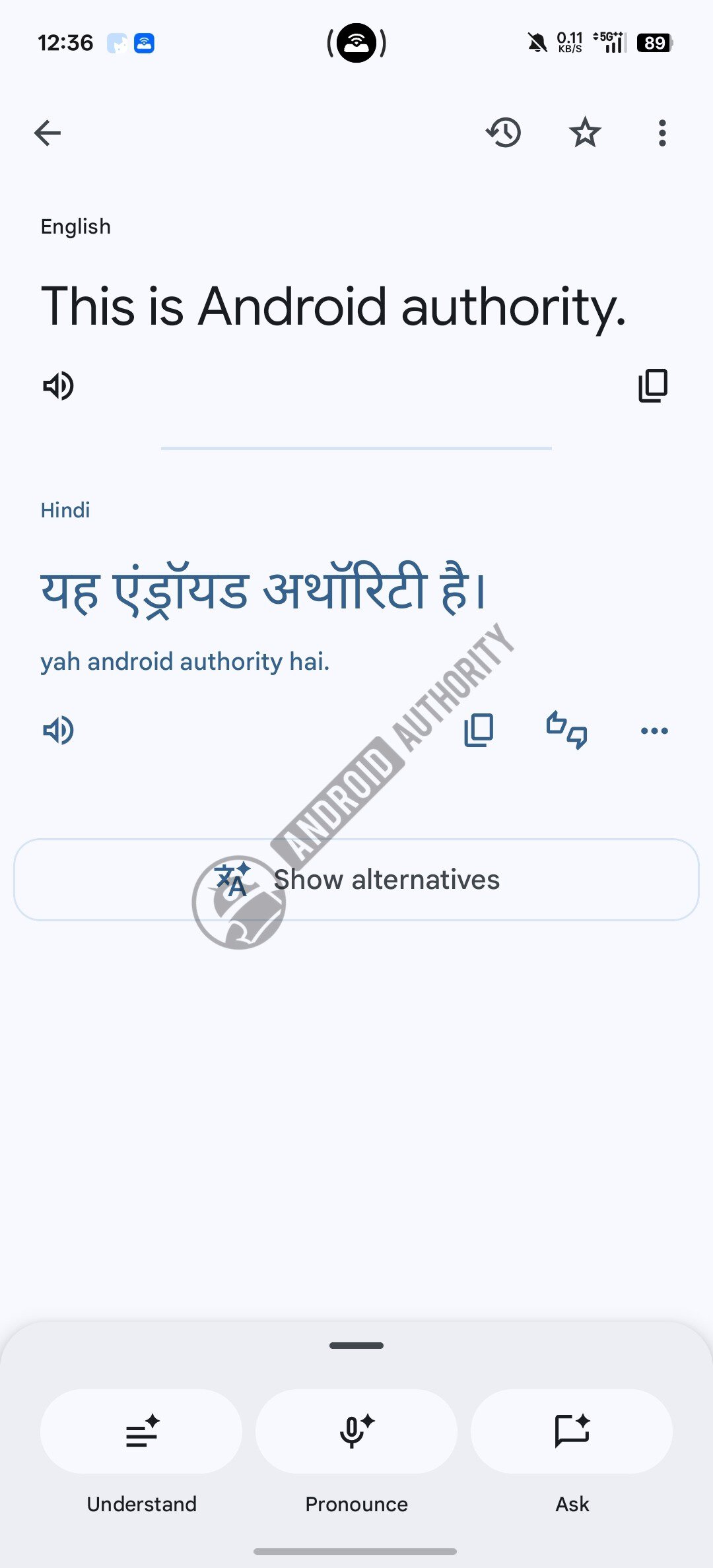 Google Translate New Translate Screen 2 watermarked