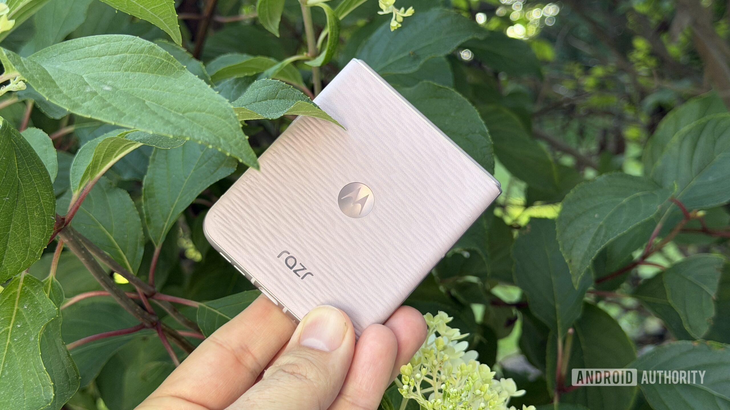 Motorola Razr 2026 against flowers Motorola Razr 2026 against flowers
