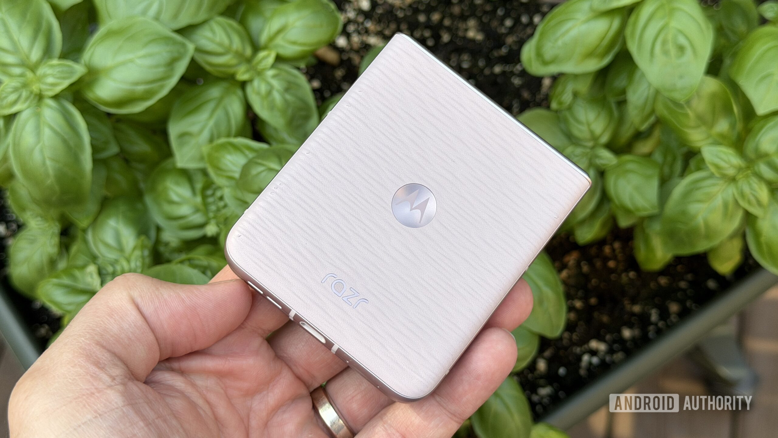 Motorola Razr 2026 basil Motorola Razr 2026 basil