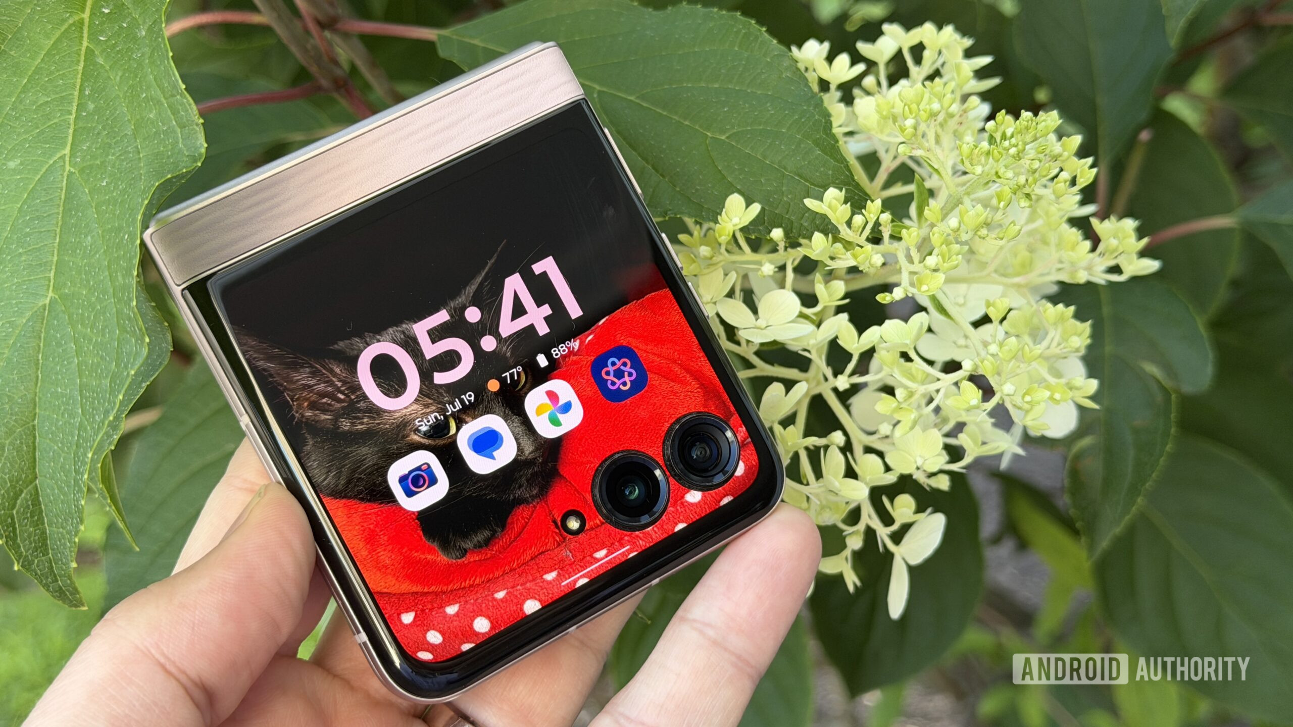 Motorola Razr 2026 cover screen flowers Motorola Razr 2026 cover screen flowers