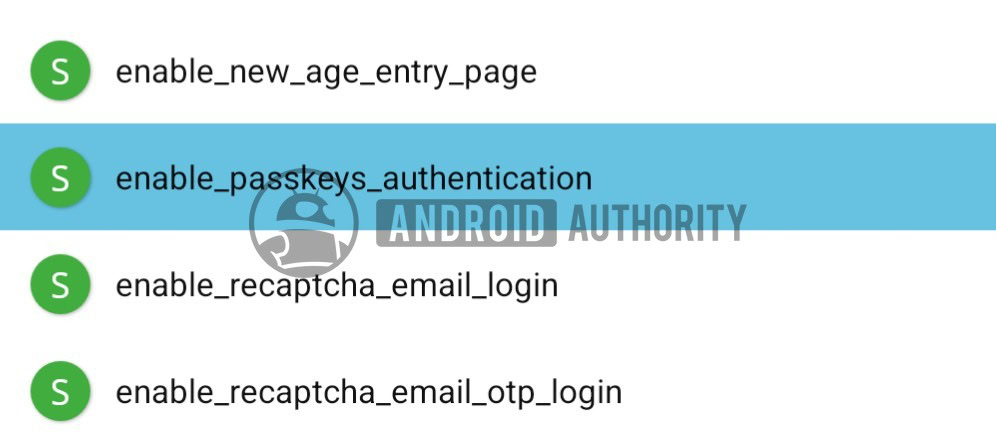 Spotify Passkey Feature Setting