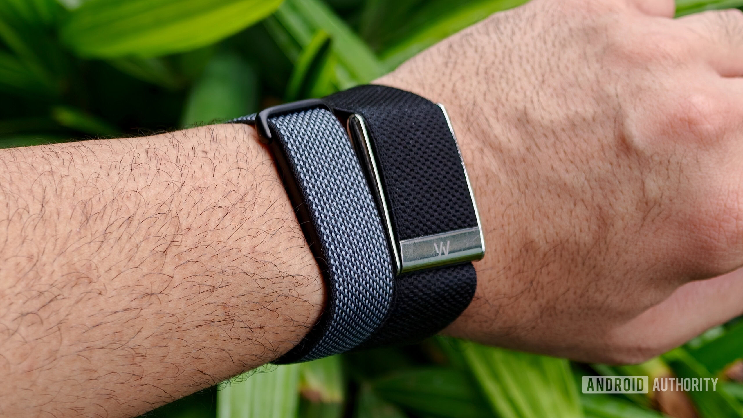Fitbit Air and WHOOP MG band on author's left wrist