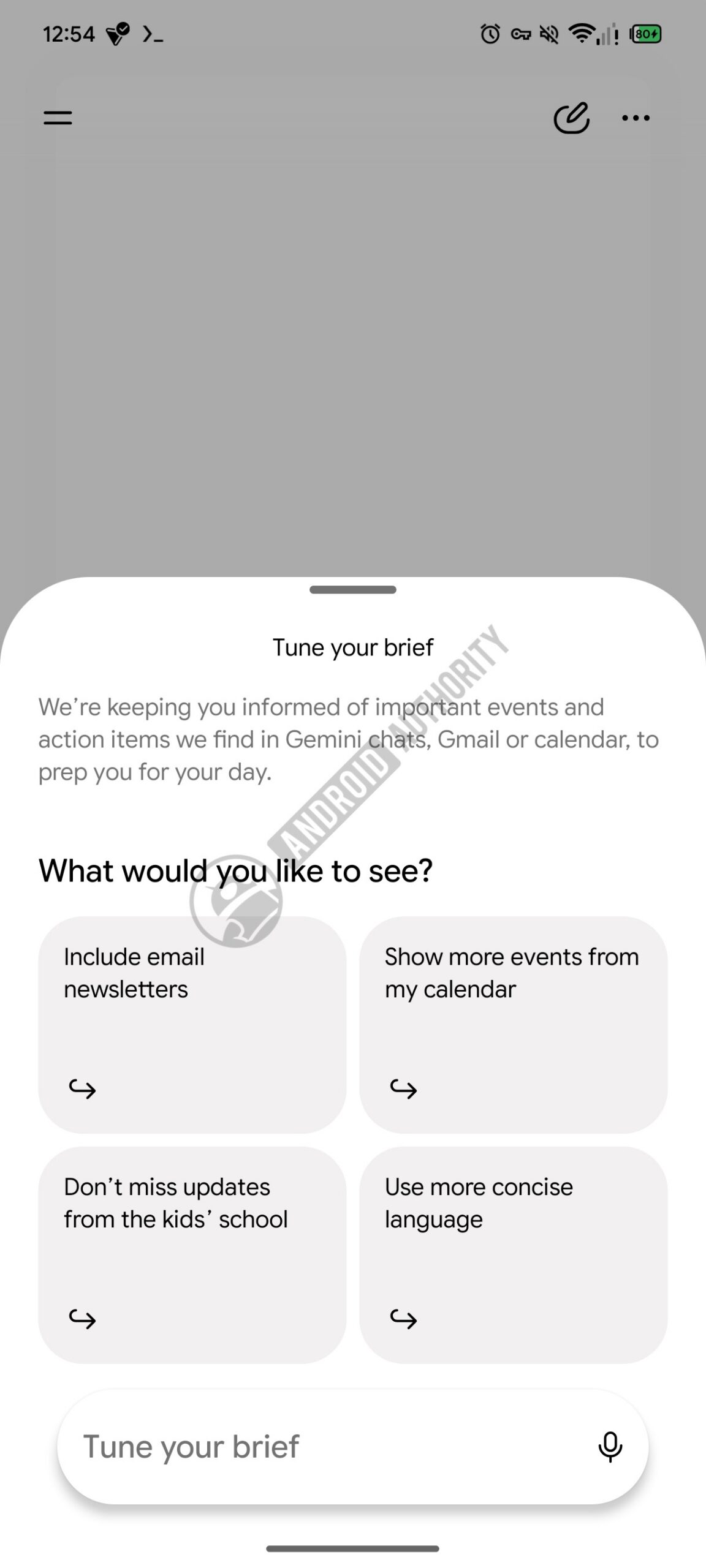 gemini daily brief text box expanded watermarked