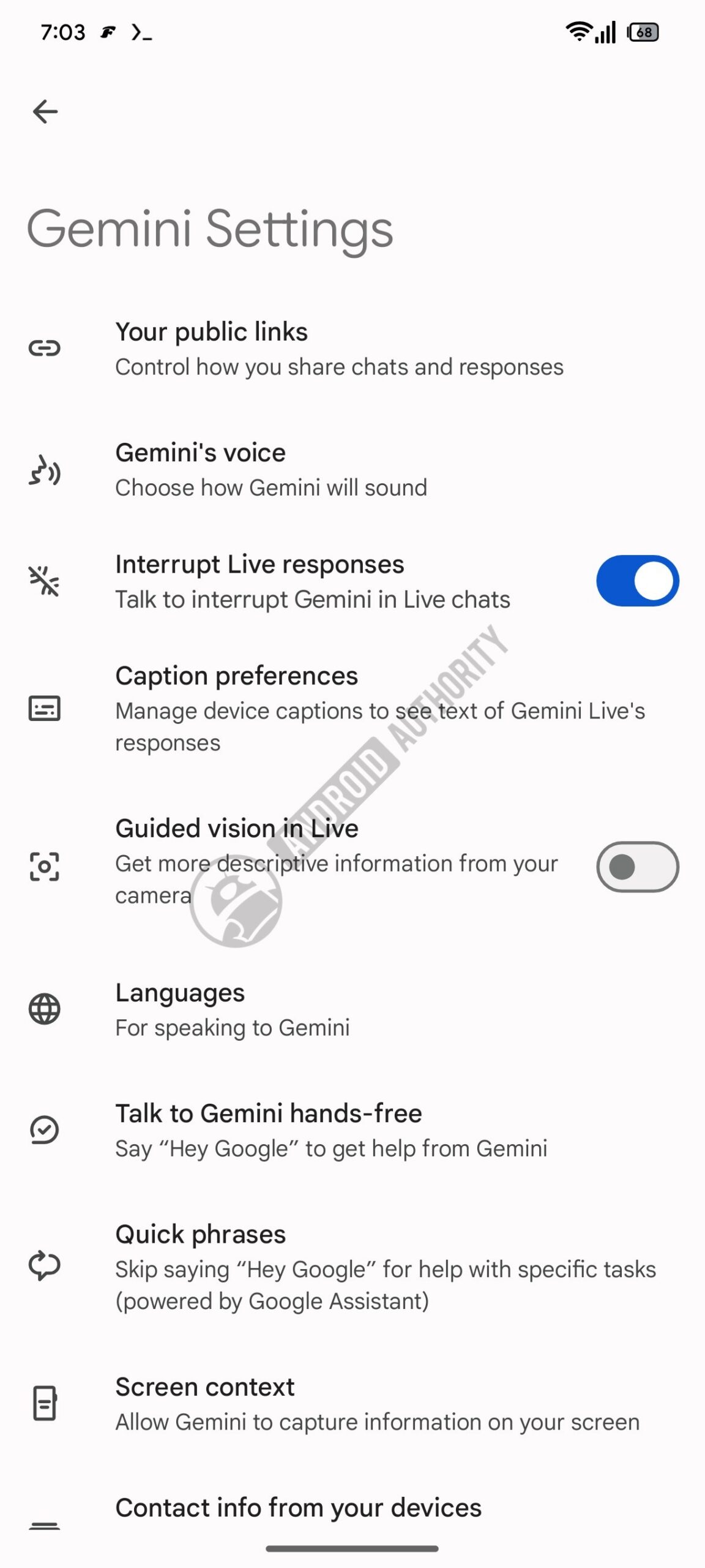 gemini guided vision 1 watermarked