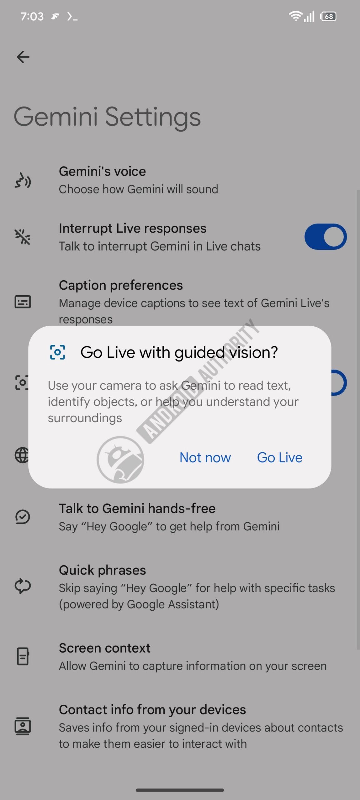 gemini guided vision 2 watermarked