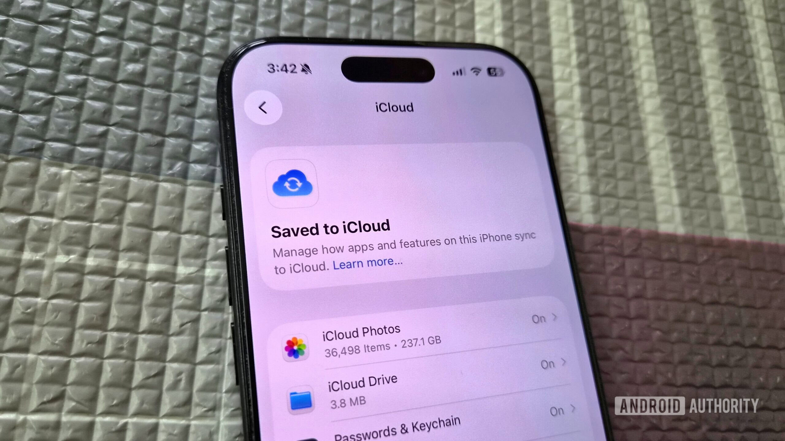 iPhone 16 Pro showing iCloud menu iPhone 16 Pro showing iCloud menu