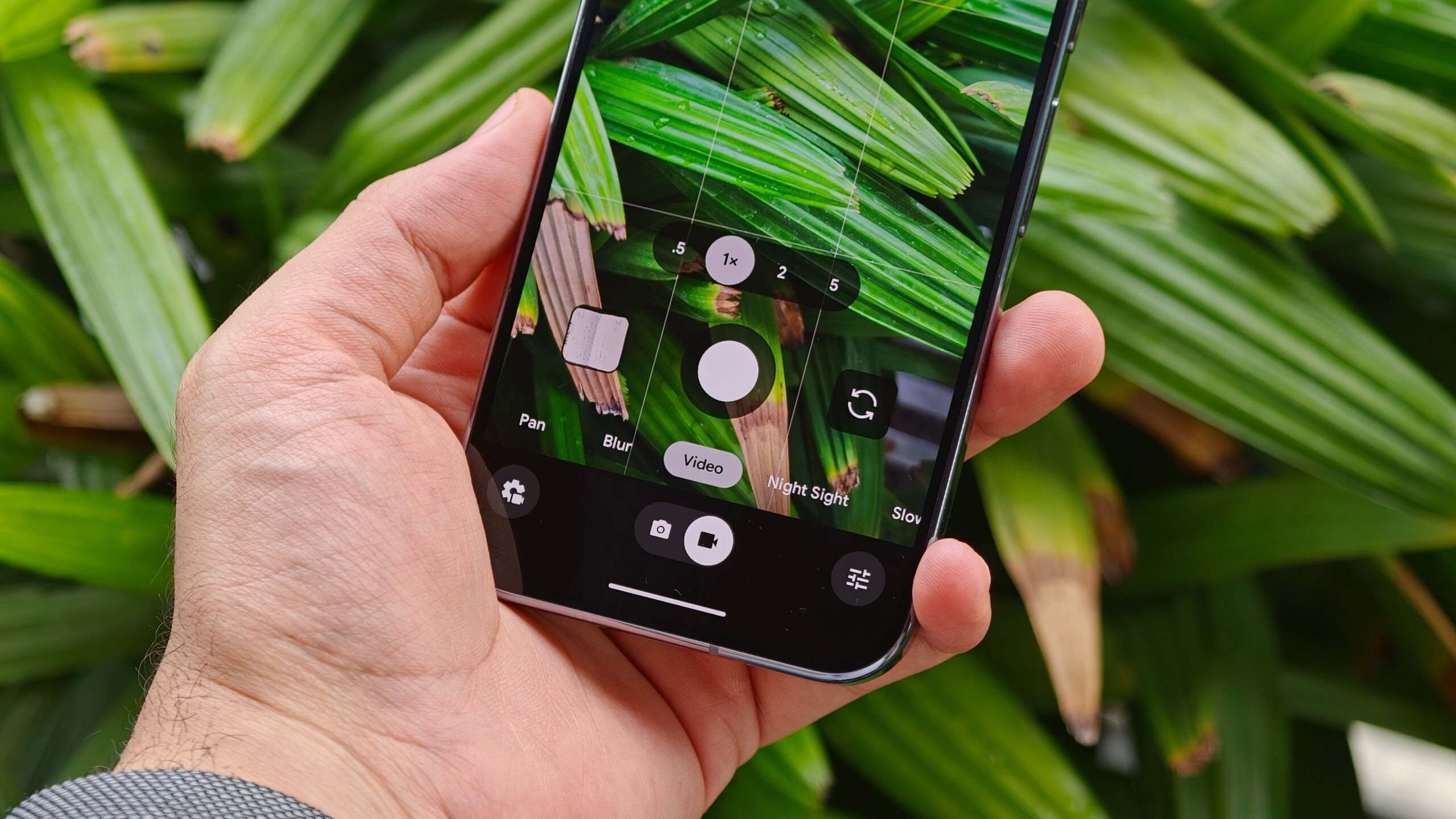Close-up of a person holding the Pixel 10 Pro showing the Android camera app interface with zoom options and grid lines overlaying green leaves