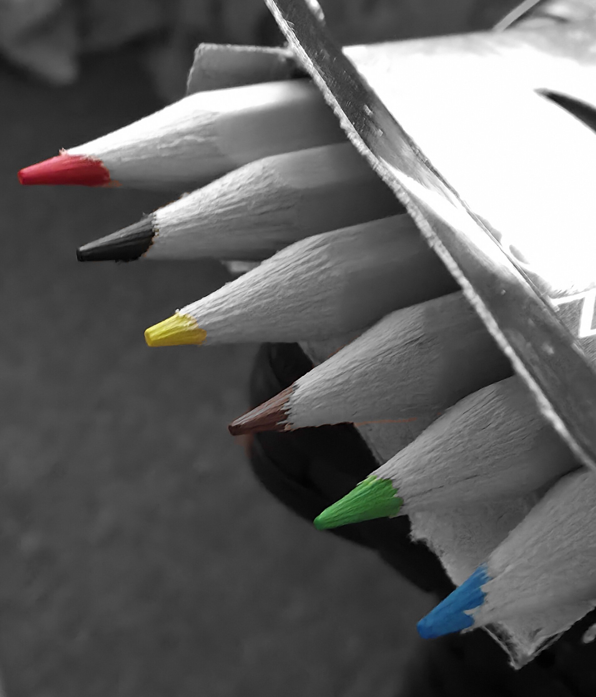 2026 08 26 (5)