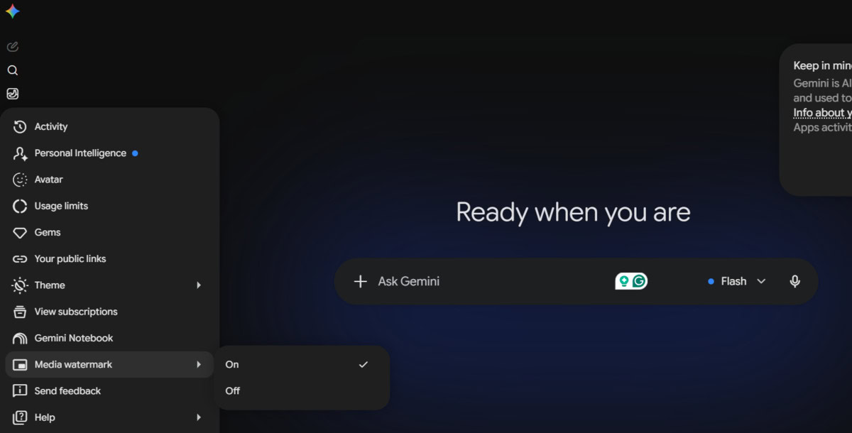 Gemini remove visible watermark