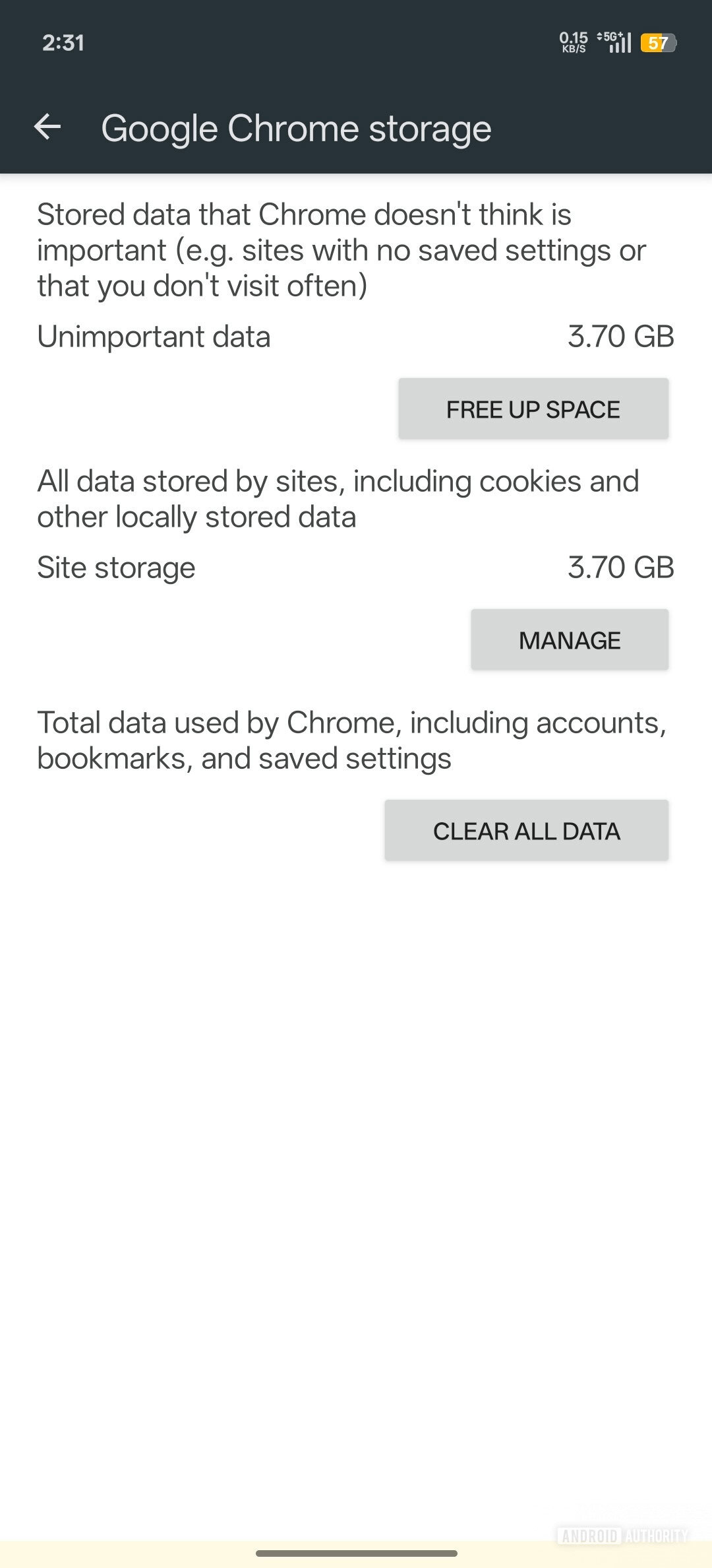 Google Chrome Manage storage