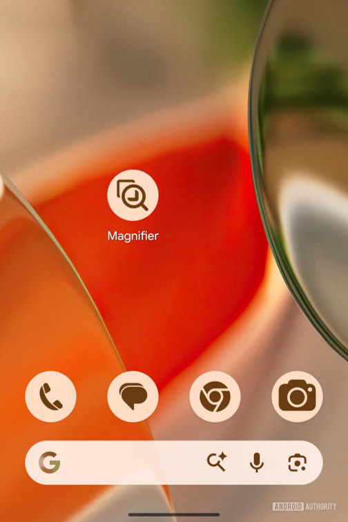 Google Magnifier Old Themed Icon