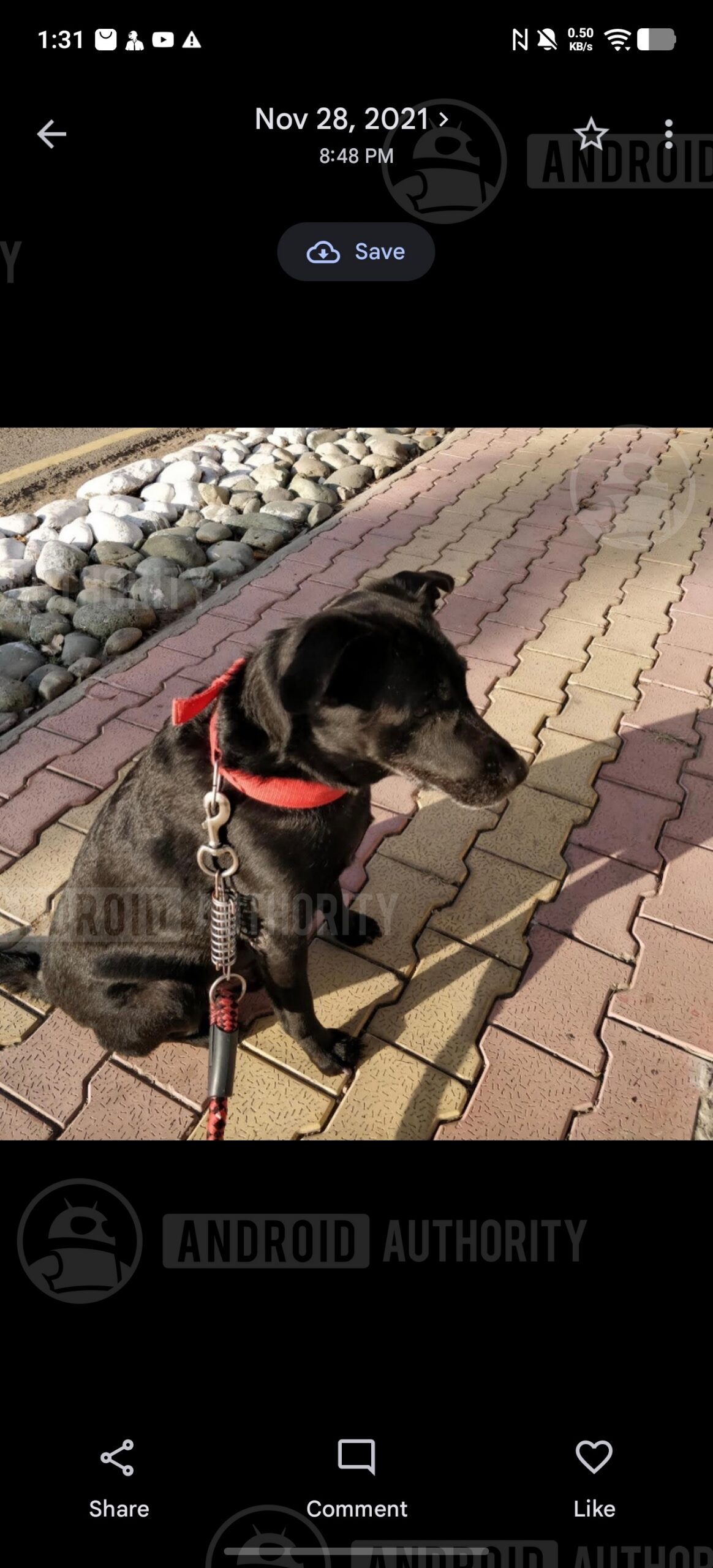 Google Photos current reaction feature 1 watermarked 2