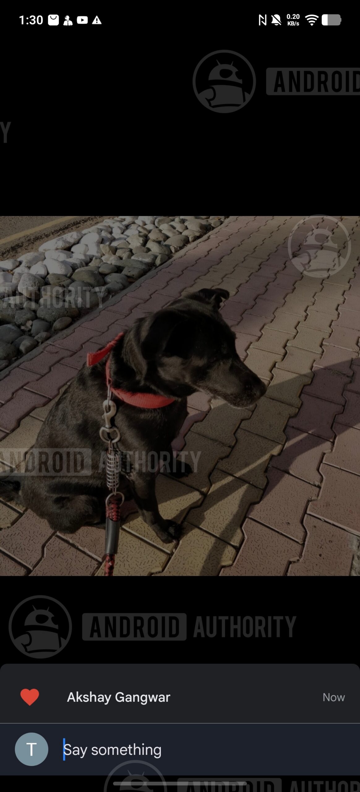 Google Photos current reaction feature 2 watermarked 2